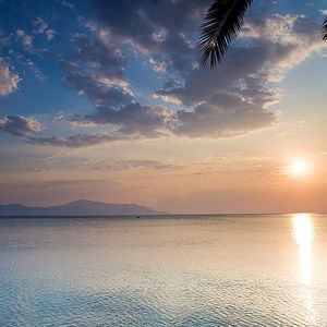 Meet your Posher, Terri